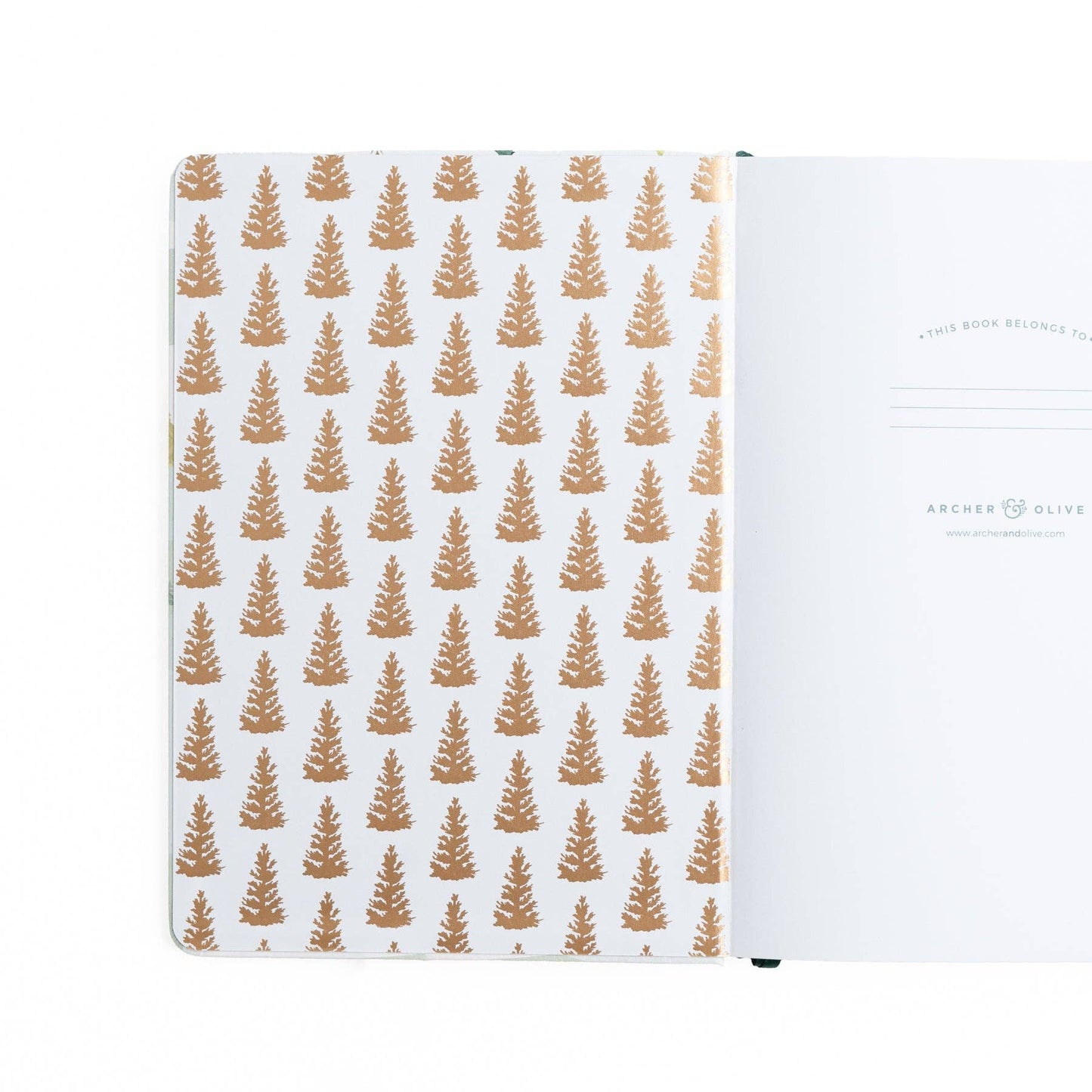 Fox In Winter Woods: Dot Grid Notebook: 8x8: 160 Pages