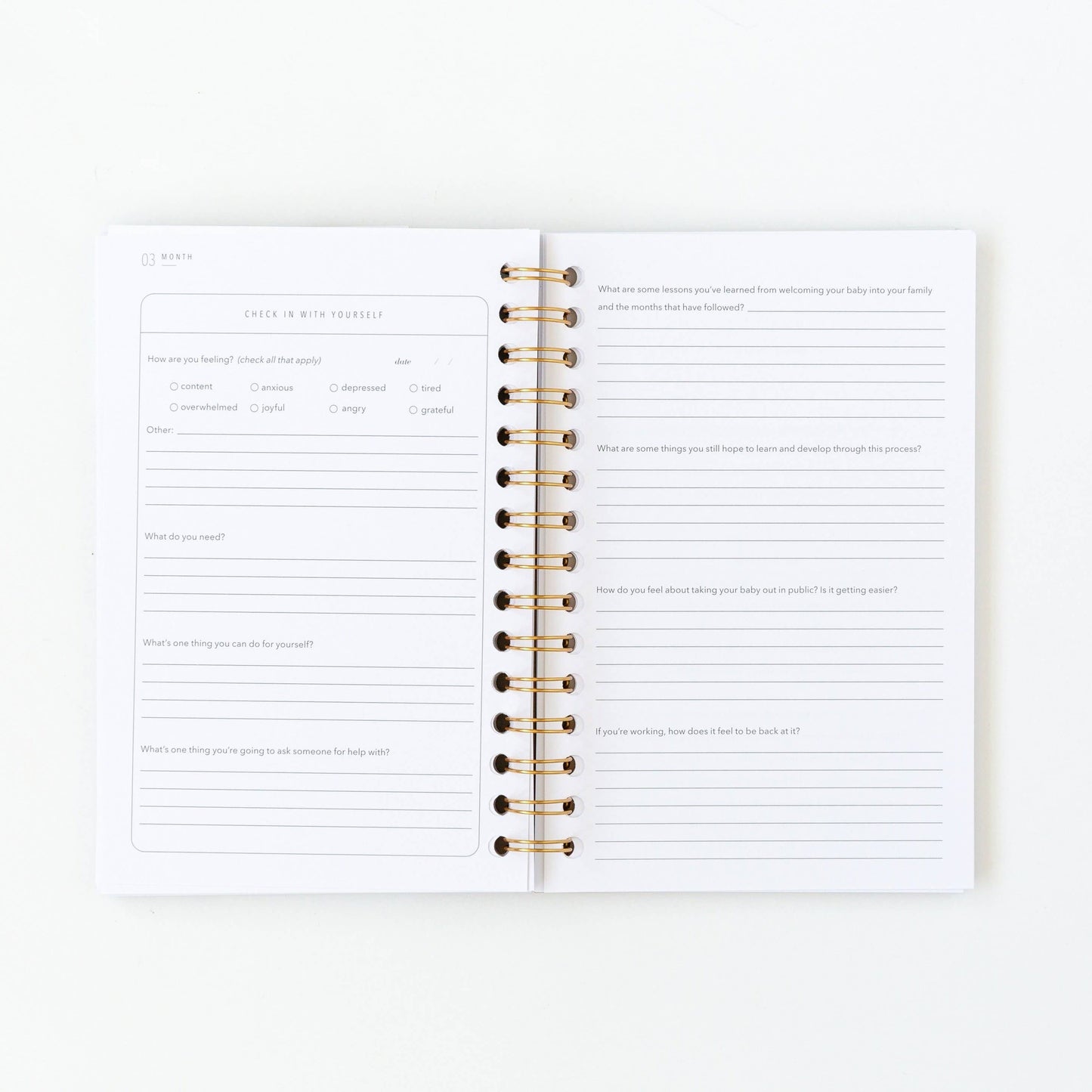 My Postpartum Journal: Cashew Leatherette