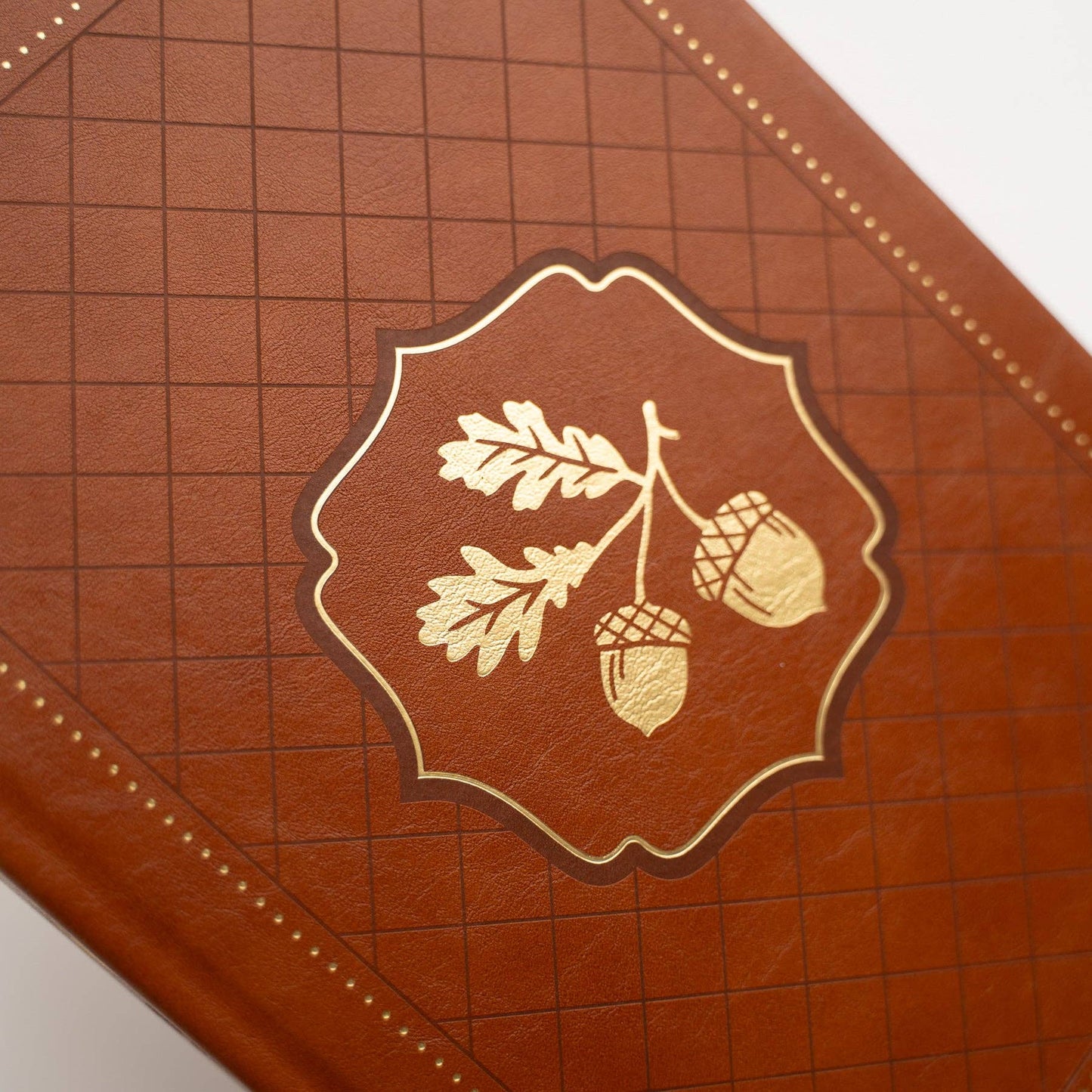 B6 Acorns Dot Grid Notebook