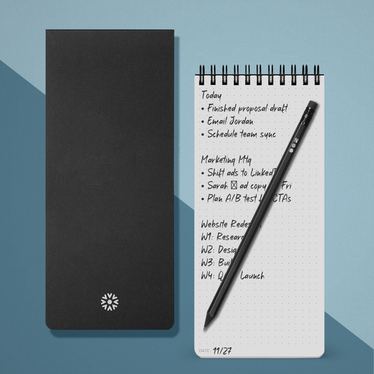 Reporter's Notebook Dot Grid (Pack of 2) 8.25"x3.75"