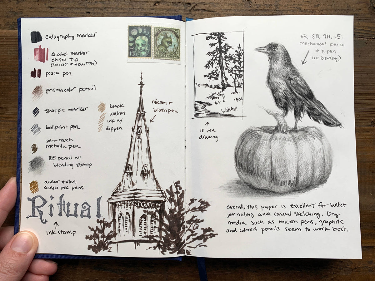 The Astronomer - B6 blank notebook - Silver
