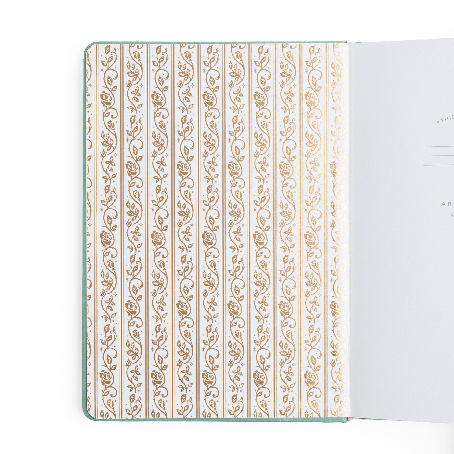A5 Reading Journal: Books of Beauty