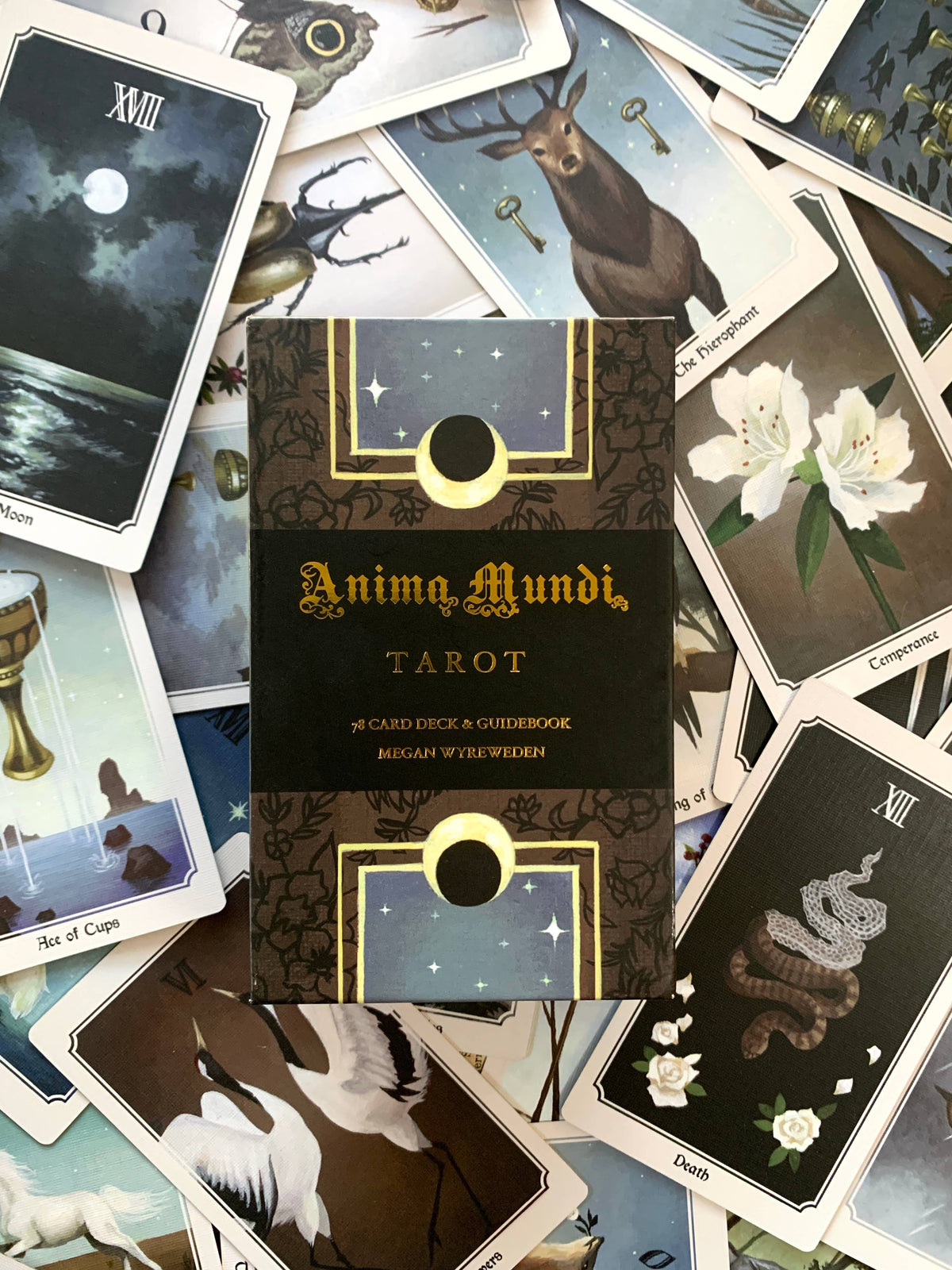 Anima Mundi Tarot Deck – 78 Cards + Guidebook