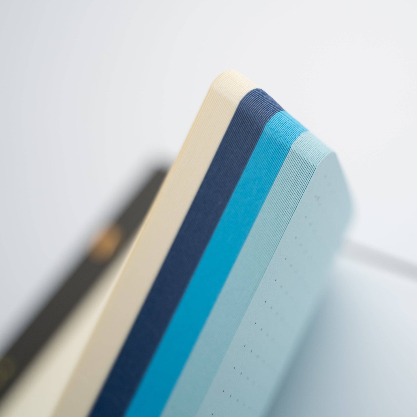 A5 Bluescale Notepad