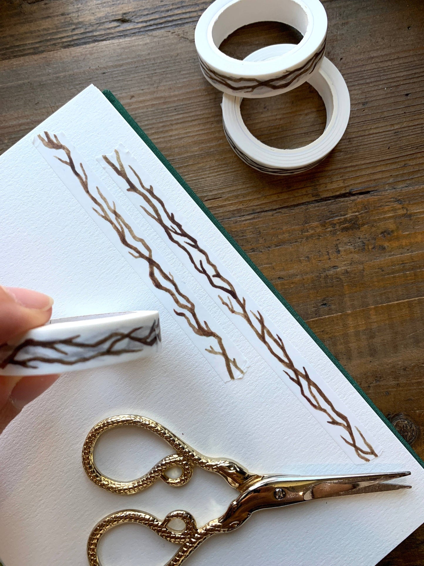 🌿 Branches Washi Tape