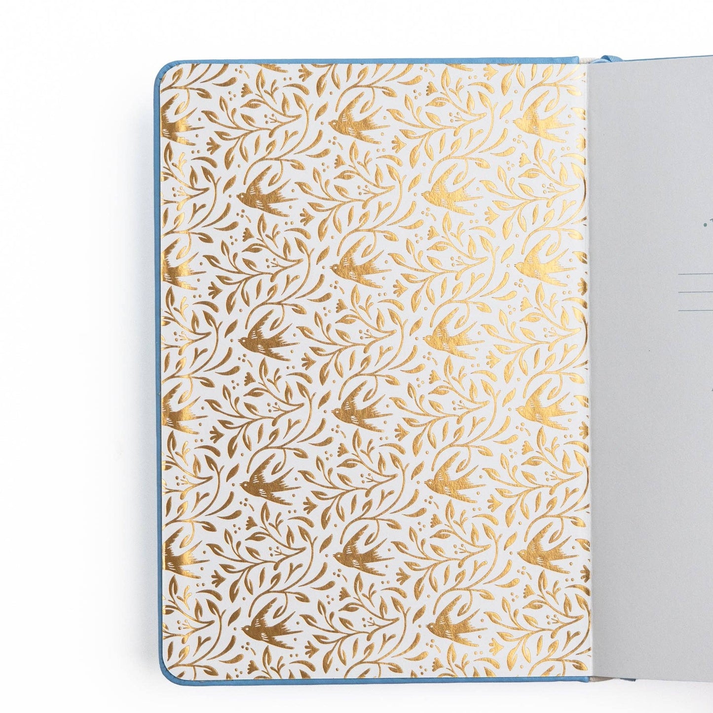 Songbird In Blue Dot Grid Notebook - A5