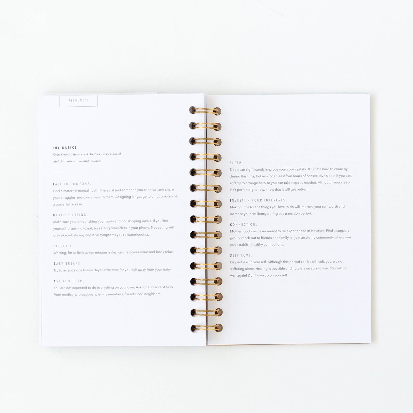 My Postpartum Journal: Cashew Leatherette