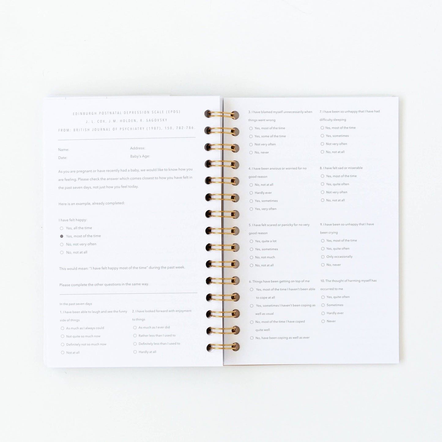 My Postpartum Journal: Cashew Leatherette