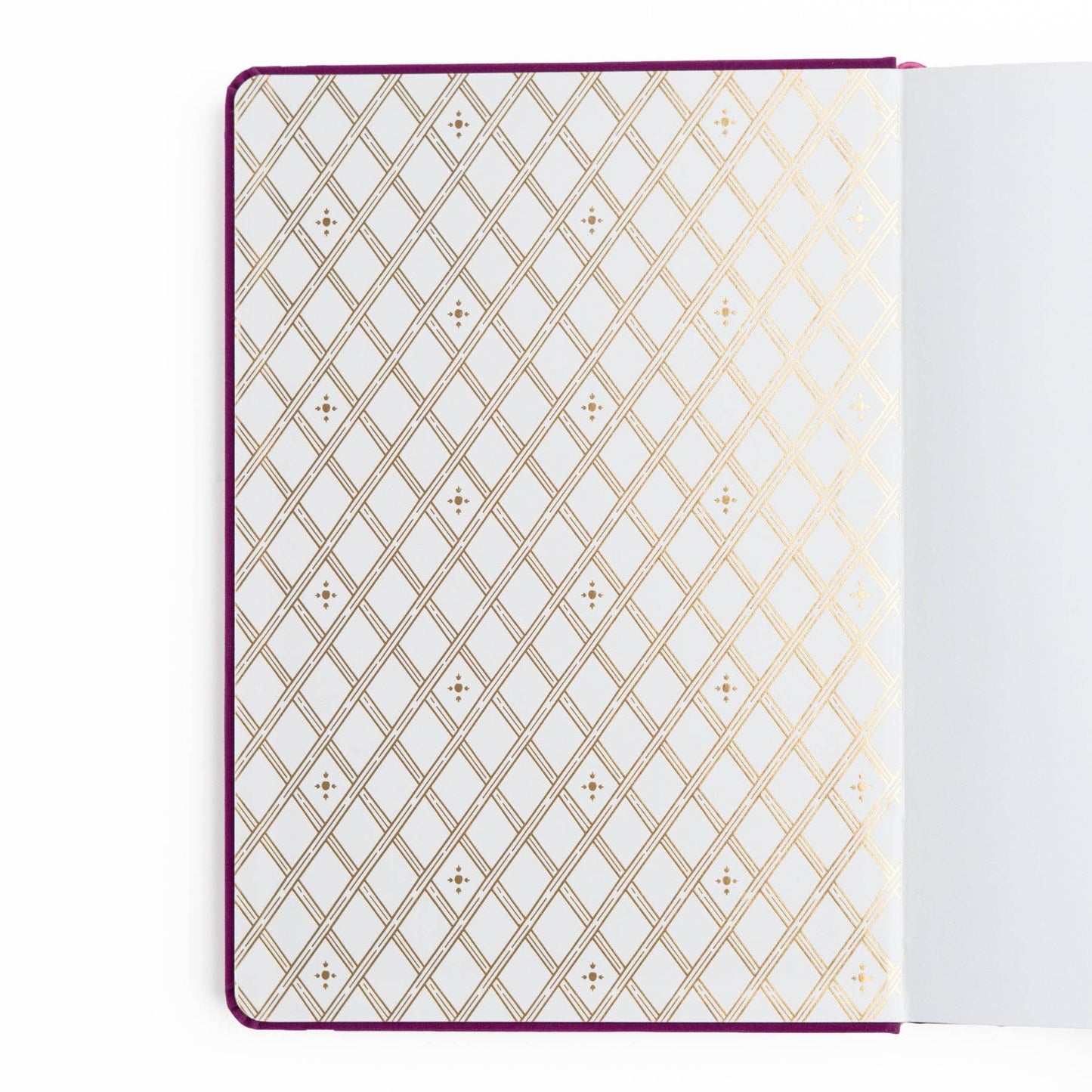 Berries & Vines | Notebook: Dot Grid / TN: 144 Pages